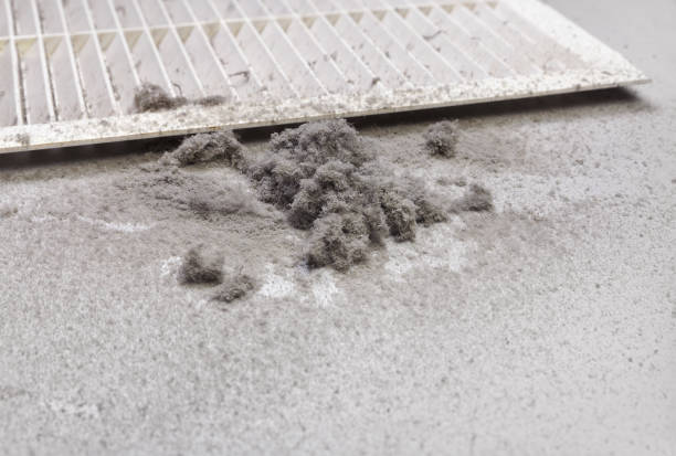 Best Affordable Air Duct Cleaning  in Ashton, ID