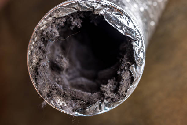Best HVAC System Cleaning  in Ashton, ID