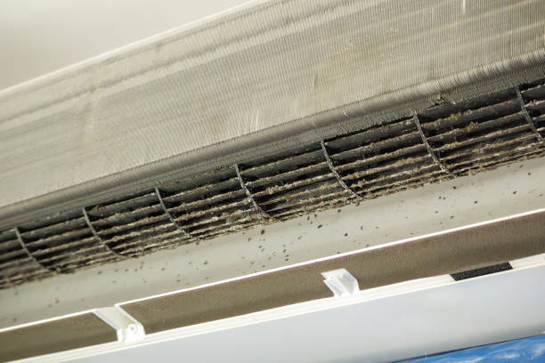 Professional Airduct Cleaning in ID